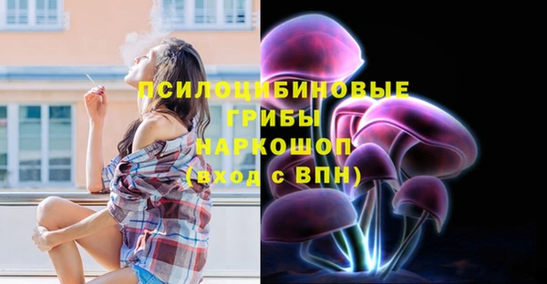 2c-b Каменка