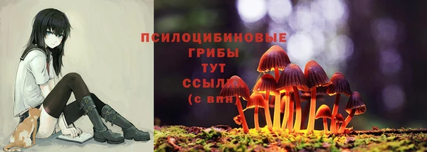 тгк Каменногорск
