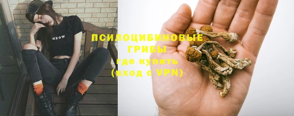 тгк Каменногорск