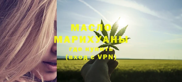тгк Каменногорск