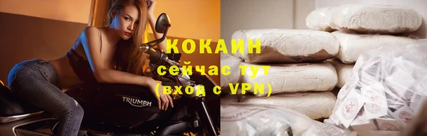 2c-b Каменка