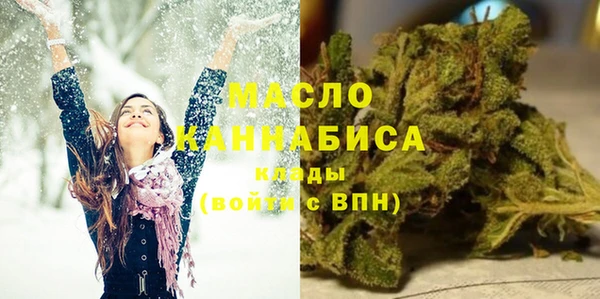 тгк Каменногорск