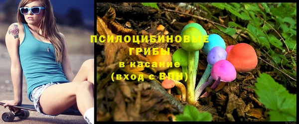 2c-b Каменка