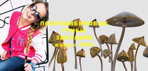 2c-b Каменка
