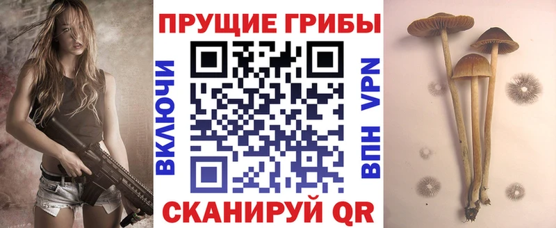 Купить  Звенигово  Галлюциногенные грибы Magic Shrooms 
